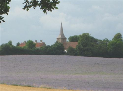 Great Henny Church and Borage Field