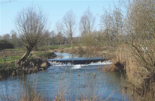 The Daws Hall Nature Reserve and River.