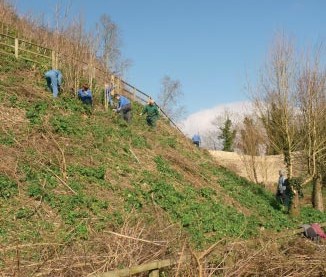 SVV at Clare Castle 2015